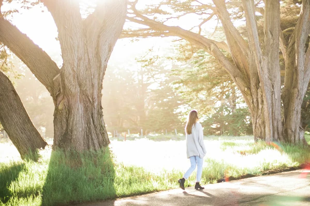 A woman walks along a sunlit path beneath tall cypress trees.